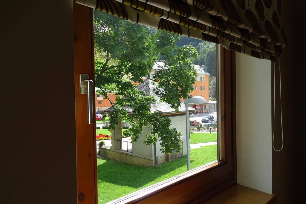 Parkapartments Schladming Værelse billede